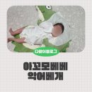 아기수면템 아꼬모베베 악어베개 솔직후기