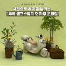 파주시 징집 제1차 | 아기 인생 샷 건지러 갔다 온 후기 부록 셀프스튜디오 파주 운정점