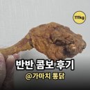 가마치통닭국회대로점 | 가마치 통닭 영등포점 반반 콤보 내돈내산 후기, 시원한 생맥주는 덤