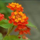 감성 손뜨개 이미지