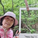 갑수씨랑 영양자작나무숲, 영양 산해리 오층모전석탑(2024.5.28. 화) 이미지
