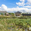 익산애견테마파크 이미지