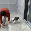 호진펜션 네이버블로그