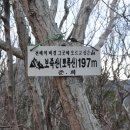 도선동천 이미지