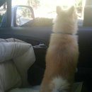 봄이꽃피다 이미지