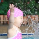 은비랜드 이미지