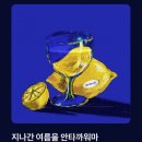 디저트양 네이버블로그