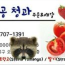 손오공청과 이미지