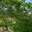 추정2리 이미지