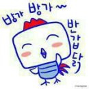 하면돼지