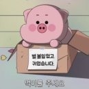 카페블럭 네이버블로그