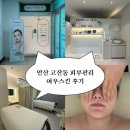 예쁜여우피부관리 | 안산피부관리 여우스킨 윤곽관리 후기
