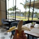 엄마와 오붓 베트남 다낭 여행 마지막날 미케비치, 영흥사, 씨푸드정식 🏝️❤️