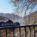 조동리_마을진입로_012 | 충주댐 벚꽃길 개화 상황 4/1 축제 끝나도 아직 이른 충주호 벚꽃 주차
