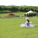 태산목장 이미지