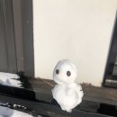 라온농장 이미지
