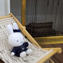 와이케이 더블유 이미지