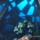 유영목장 이미지