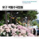 색동다리 | 유구 색동수국정원 충남 방문하기 좋은 7월 수국 명소