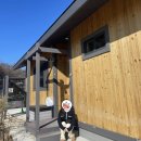 휘닉스중앙평창 오렌지동 이미지