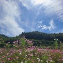 (주)시루산 이미지