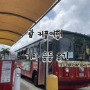 에이비시투어 | 괌 | 커플여행 내돈내산 후기] 5. 기타 편 (스파 아유...괌 대중교통, 케이마트, 에이비시 스토어, 스픽)
