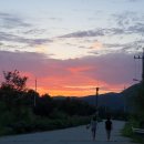 캠핑7604 이미지