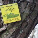 팔공산올레길 7코스 이미지