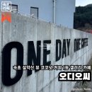 속초 설악동 | 코코넛 커피가 정말 맛있는 설악산 국립공원 근처 갤러리 카페에요, 오디오씨