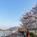 벚나무공원 화장실 이미지