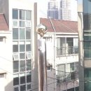 온천119안전센터 네이버블로그
