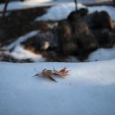 오팔농장2농장 이미지