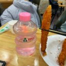 생생돈까스 | [가평 맛집] 자라섬 맛집 생생돈까스 가평점 후기
