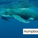 하늘가축병원 이미지