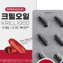 스프링데이봄날 이미지
