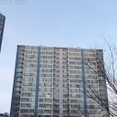 판교초교 이미지