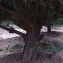 반송농장 이미지