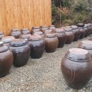 지리산정자나무펜션 이미지