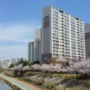 한라아파트앞(1) 이미지