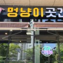 멍냥이 곳간 이미지