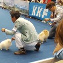 대구수지 이미지