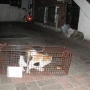 신월동233 이미지