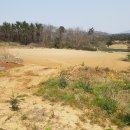 취락식당 이미지