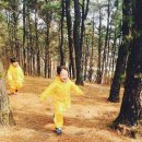 봉곡유치원 이미지