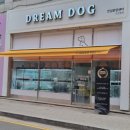 드림독 강아지분양 안심분양센터 인천점 이미지