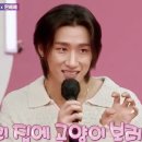 Yes you are a cute kitty… 이미지