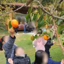 선민농장 이미지