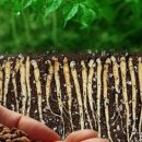 번창농장 이미지