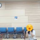 우쿨렐레(강좌번호 : 2) 네이버블로그