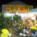 중앙꽃화원 - 수원시 권선구 권광로 85 | 중앙꽃화원
